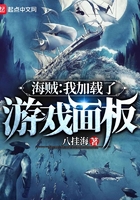 海贼:我加载了游戏面板