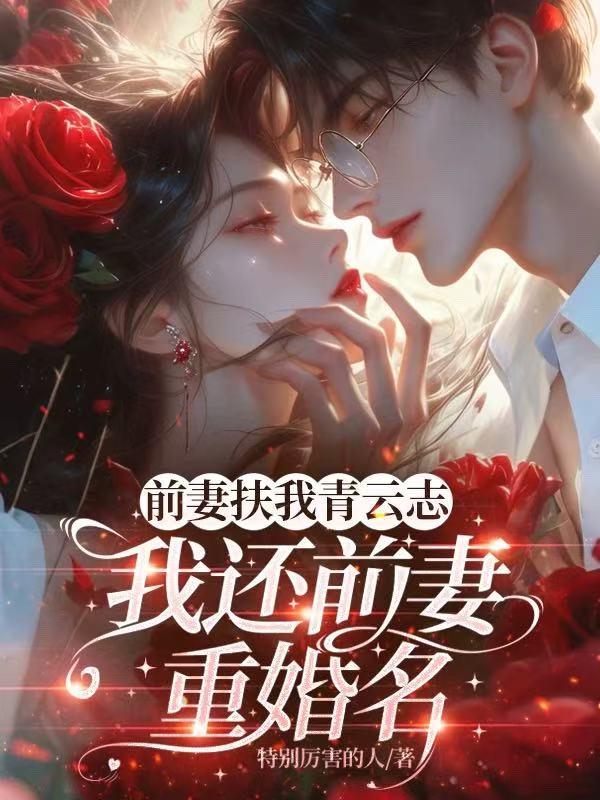 前妻扶我青云志，我还前妻重婚名