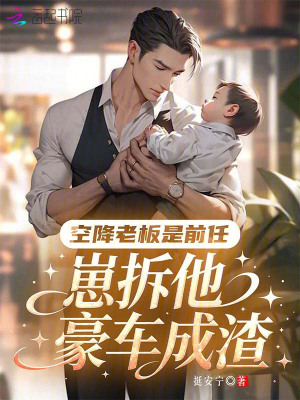 空降老板是前任,崽拆他豪车成渣