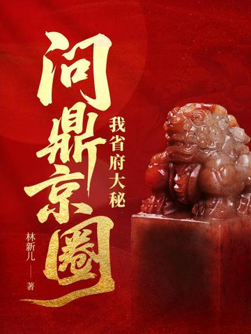 我省府大秘,问鼎京圈