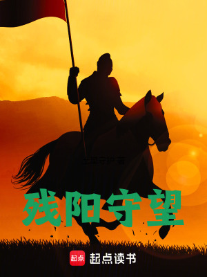 残阳守望