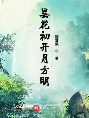昙花初开月方明